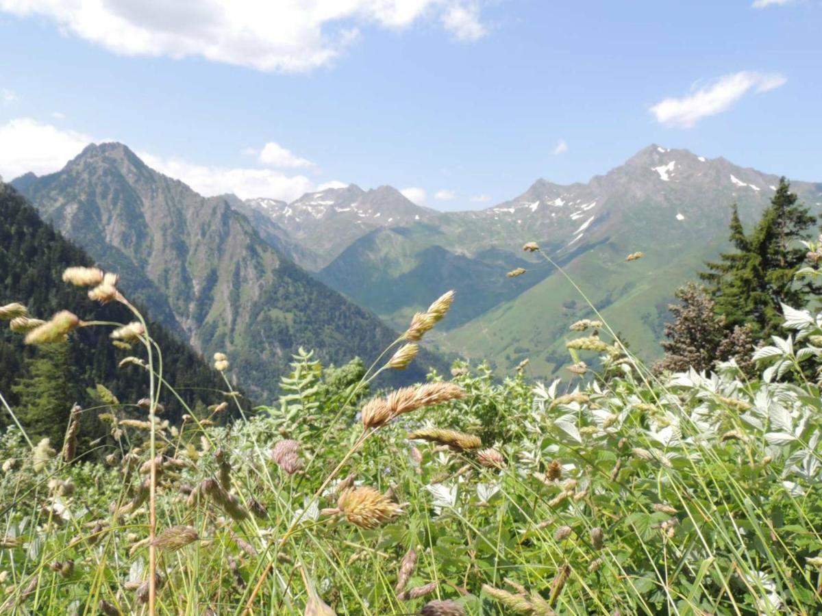 Studio Pour 4 Personnes Au Centre De Cauterets, Proche Telecabines Et Thermes - Fr-1-234-269 Zewnętrze zdjęcie